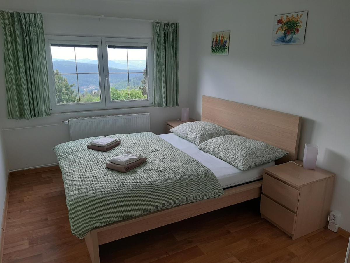 Naproti Klinovci Villa Jachymov Bagian luar foto