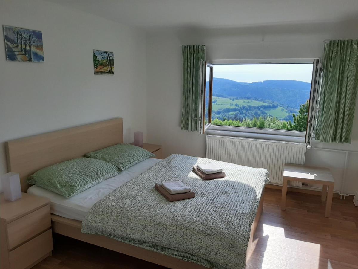 Naproti Klinovci Villa Jachymov Bagian luar foto